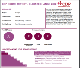 Score report 2022.png
